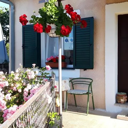 Holiday Home Goga Drnis Exterior photo