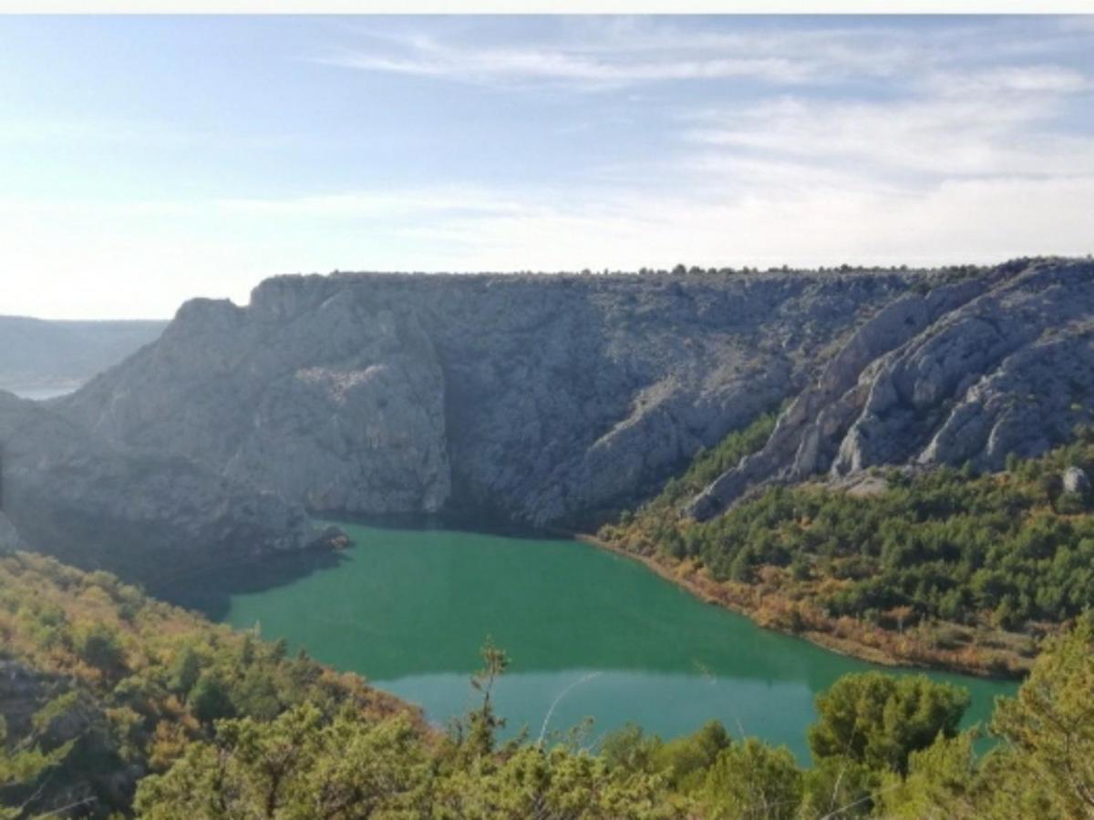 Goga Drniš