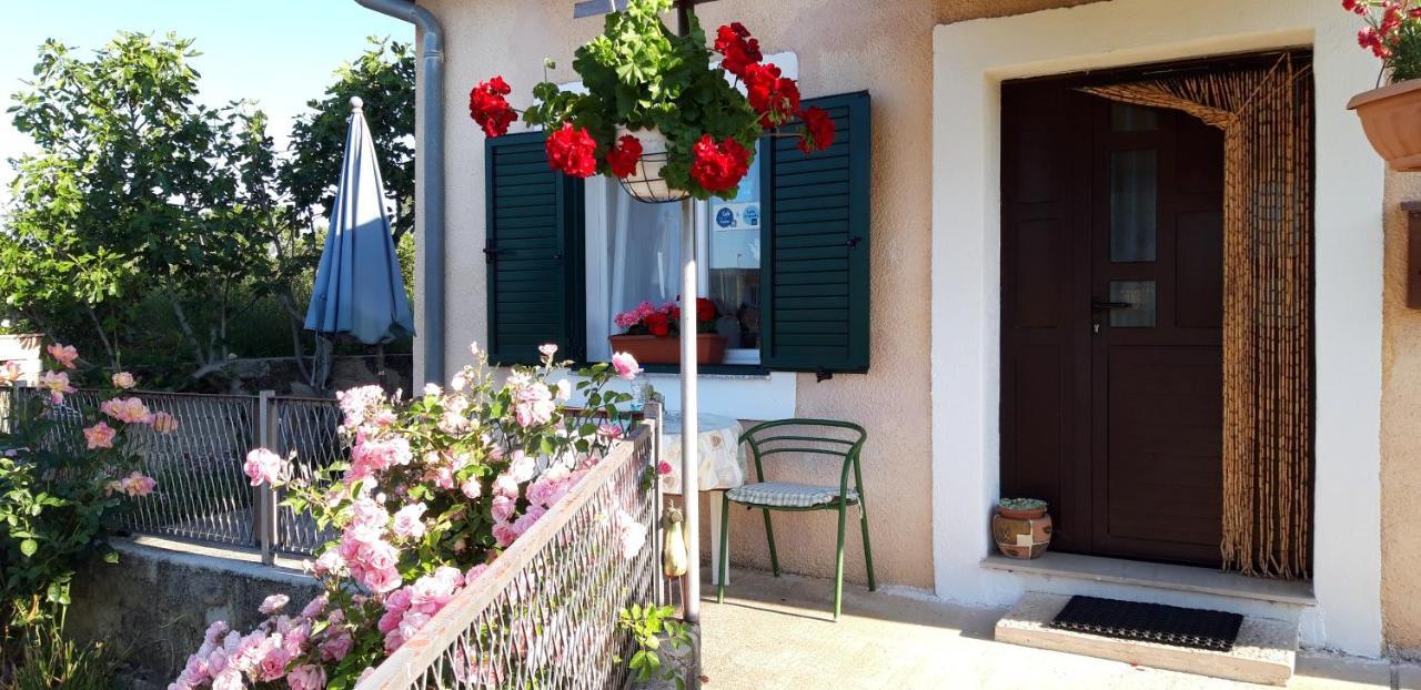 Holiday home Goga *