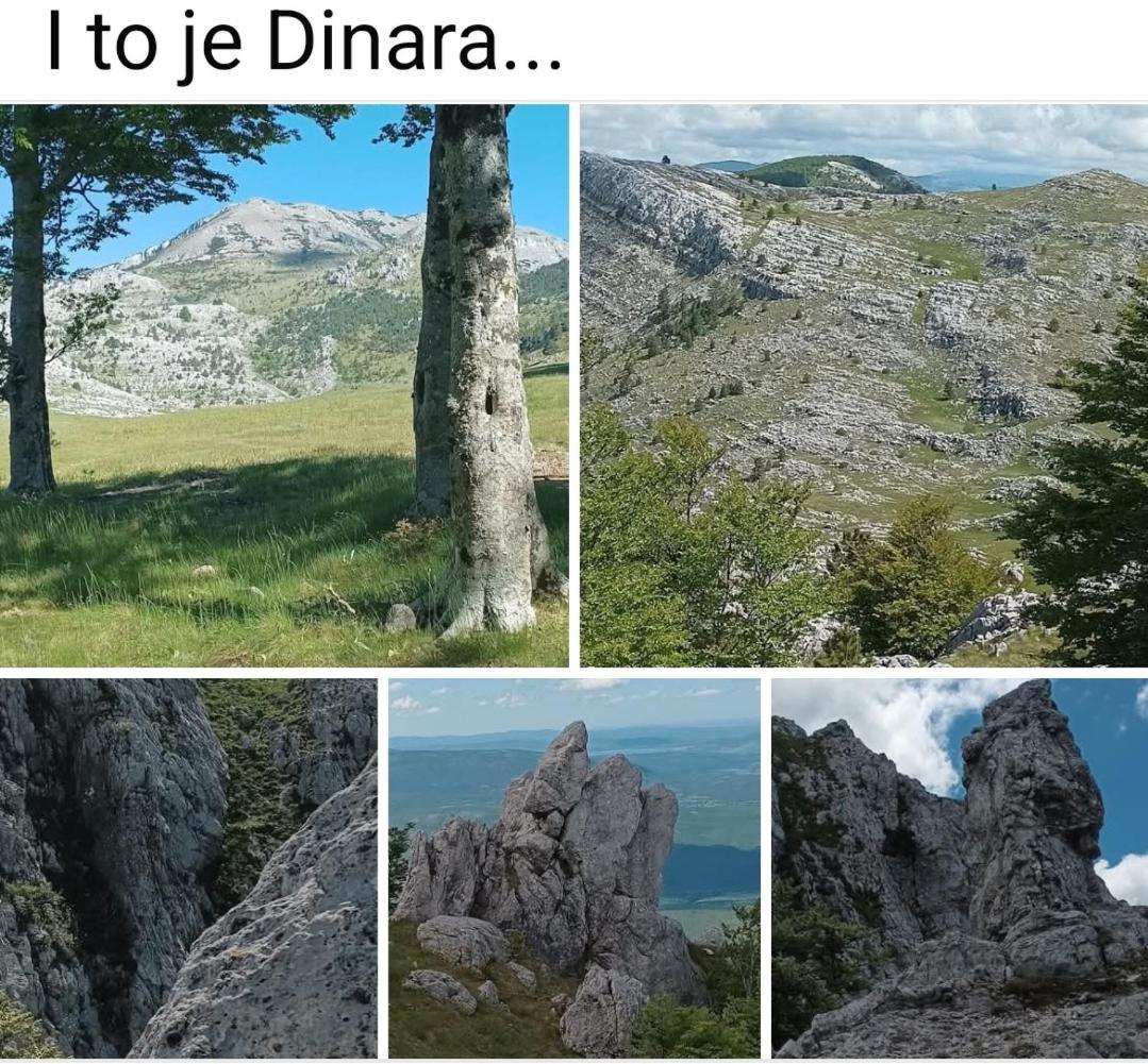 Goga * Drniš